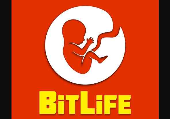 How To Write A Memoir In Bitlife?