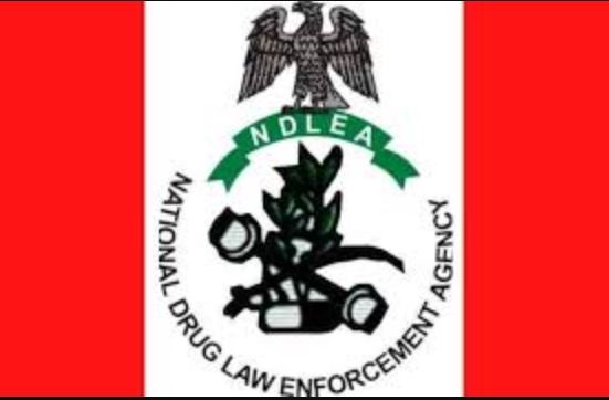 Full Meaning Of NDLEA And Their Function