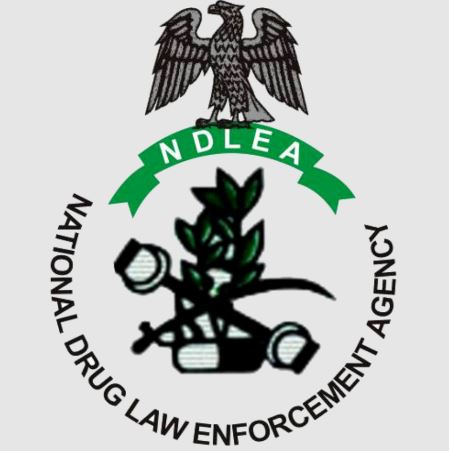 When Was NDLEA Established And Who Established It